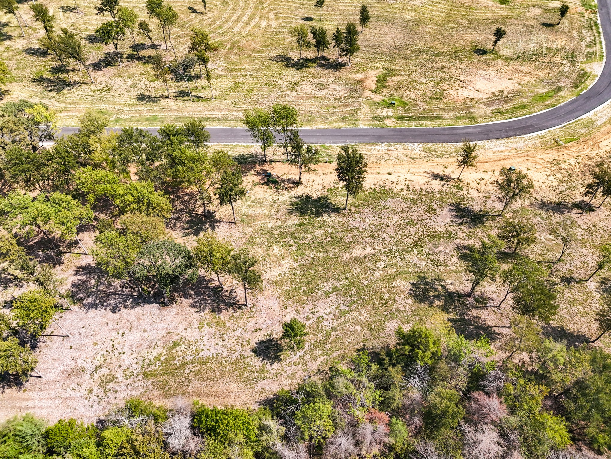 298 Timberland Heights Windom TX 75492