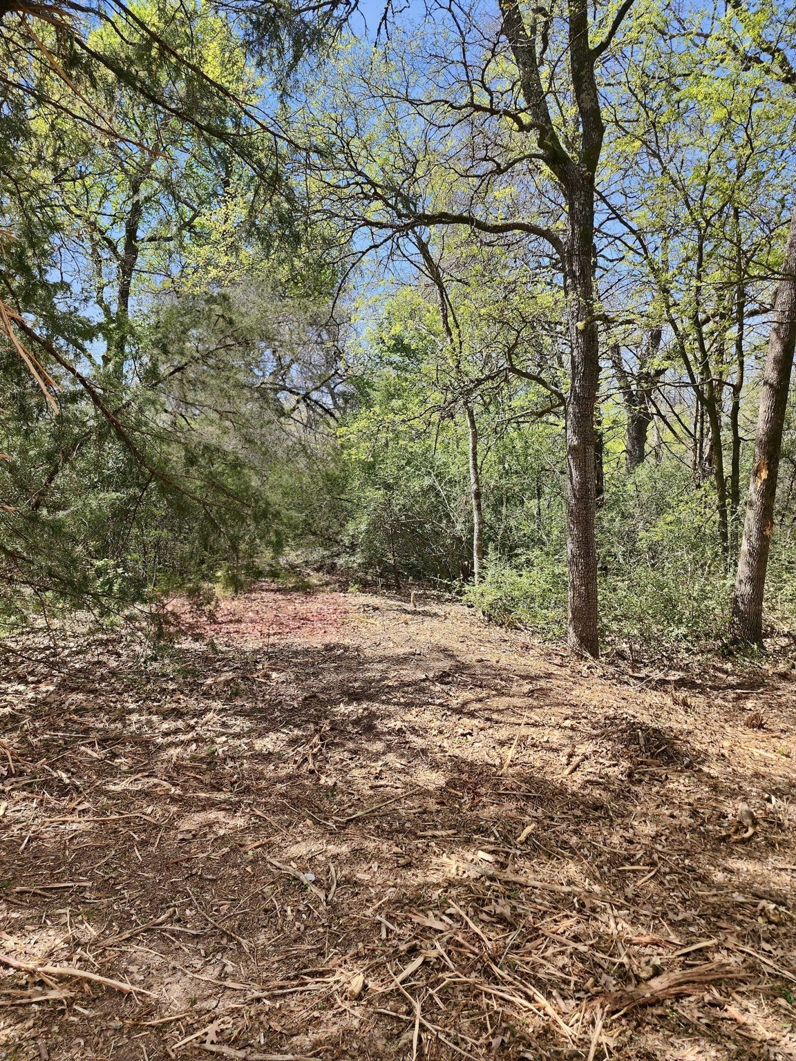 533 Lcr 721 Kosse TX 76653