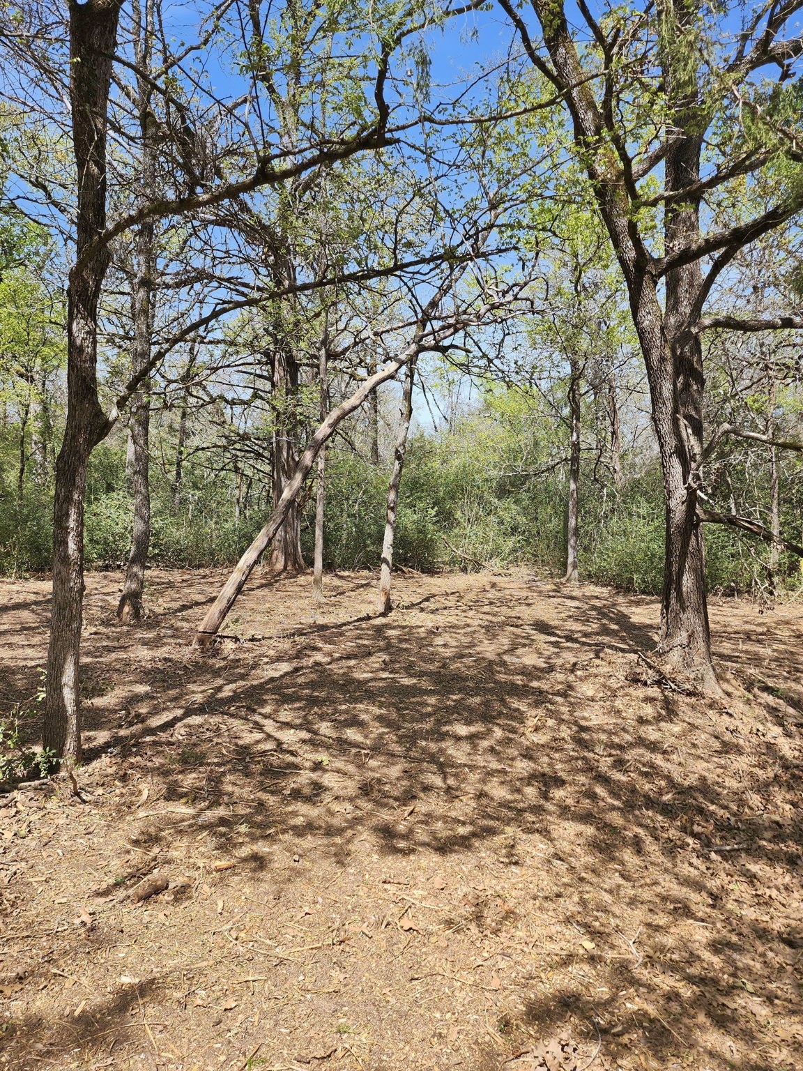 533 Lcr 721 Kosse TX 76653