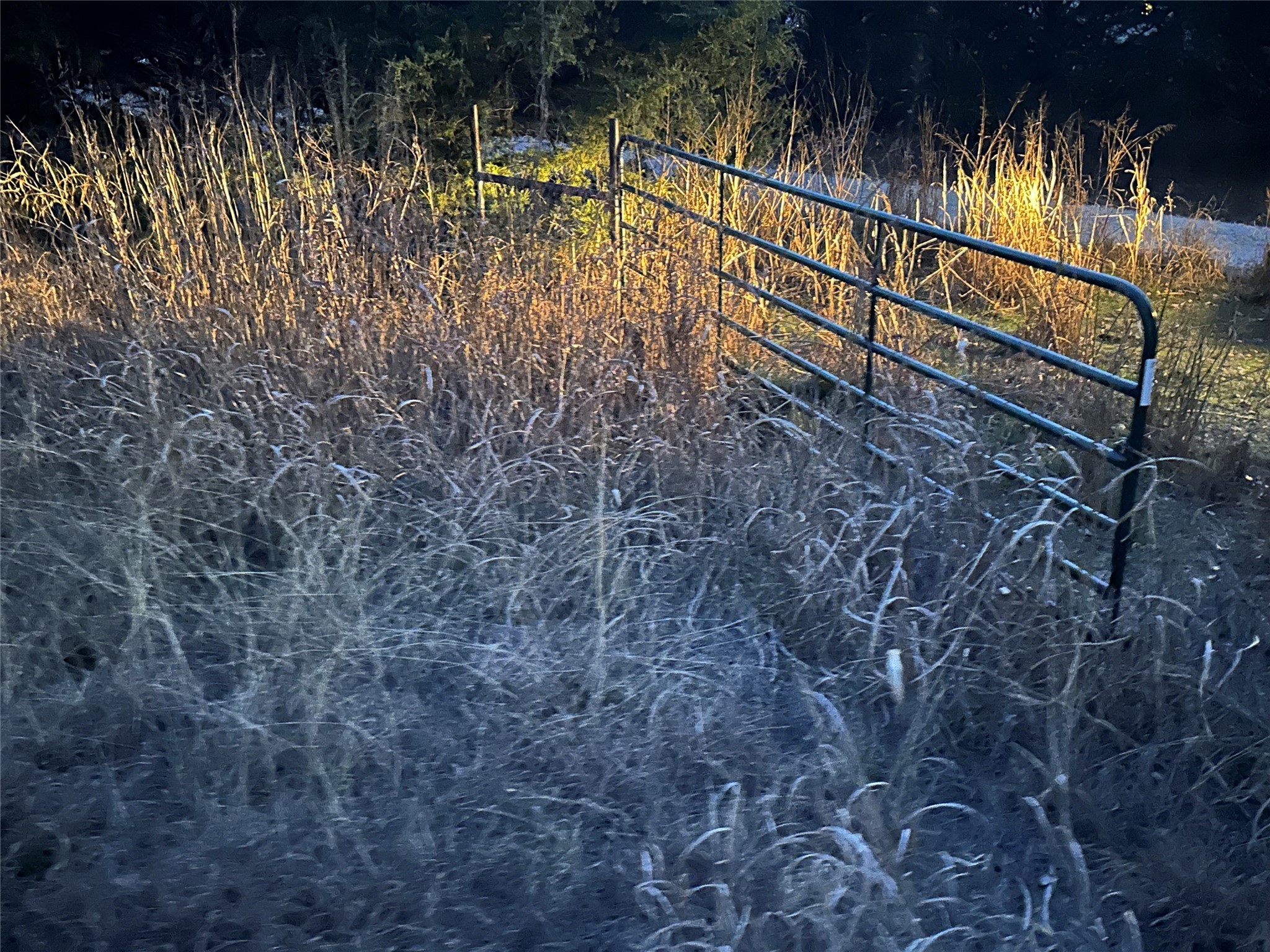Lot 26 County Road 26050 Roxton TX 75415