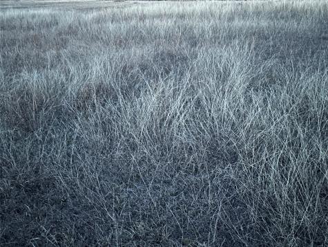 Lot 26 County Road 26050 Roxton TX 75415