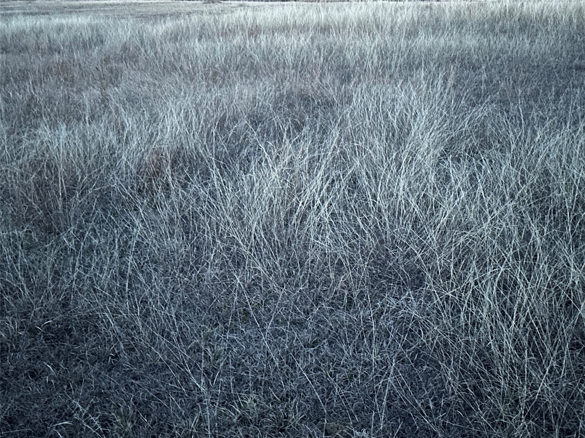 Lot 26 County Road 26050 Roxton TX 75415