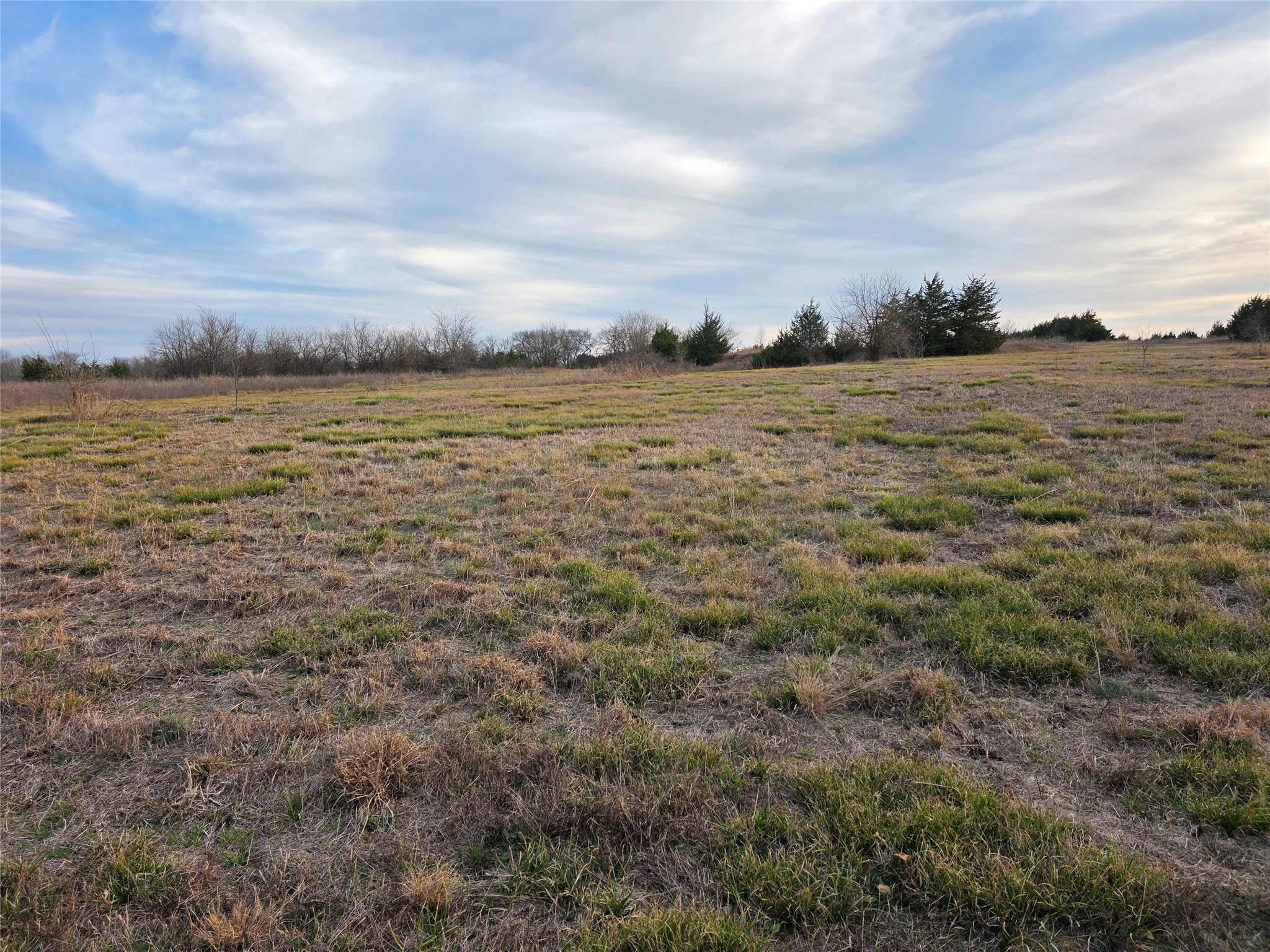 Lot 26 County Road 26050 Roxton TX 75415