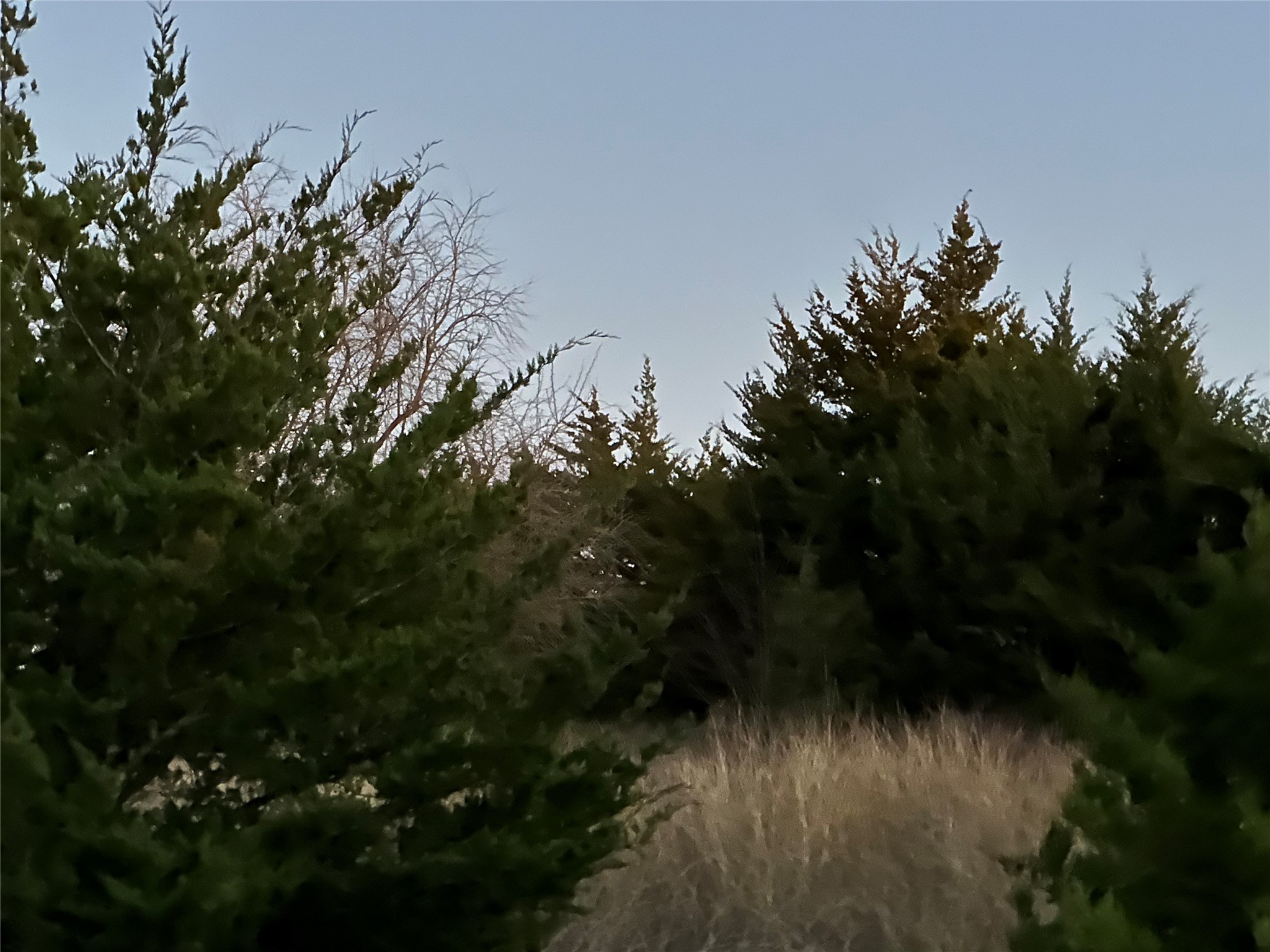 Lot 26 County Road 26050 Roxton TX 75415