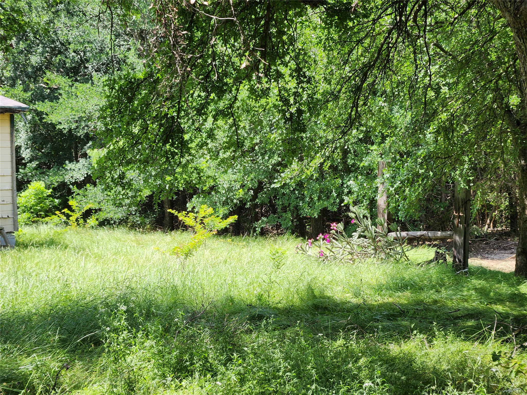 309 Vickie Lane Gunter TX 75058