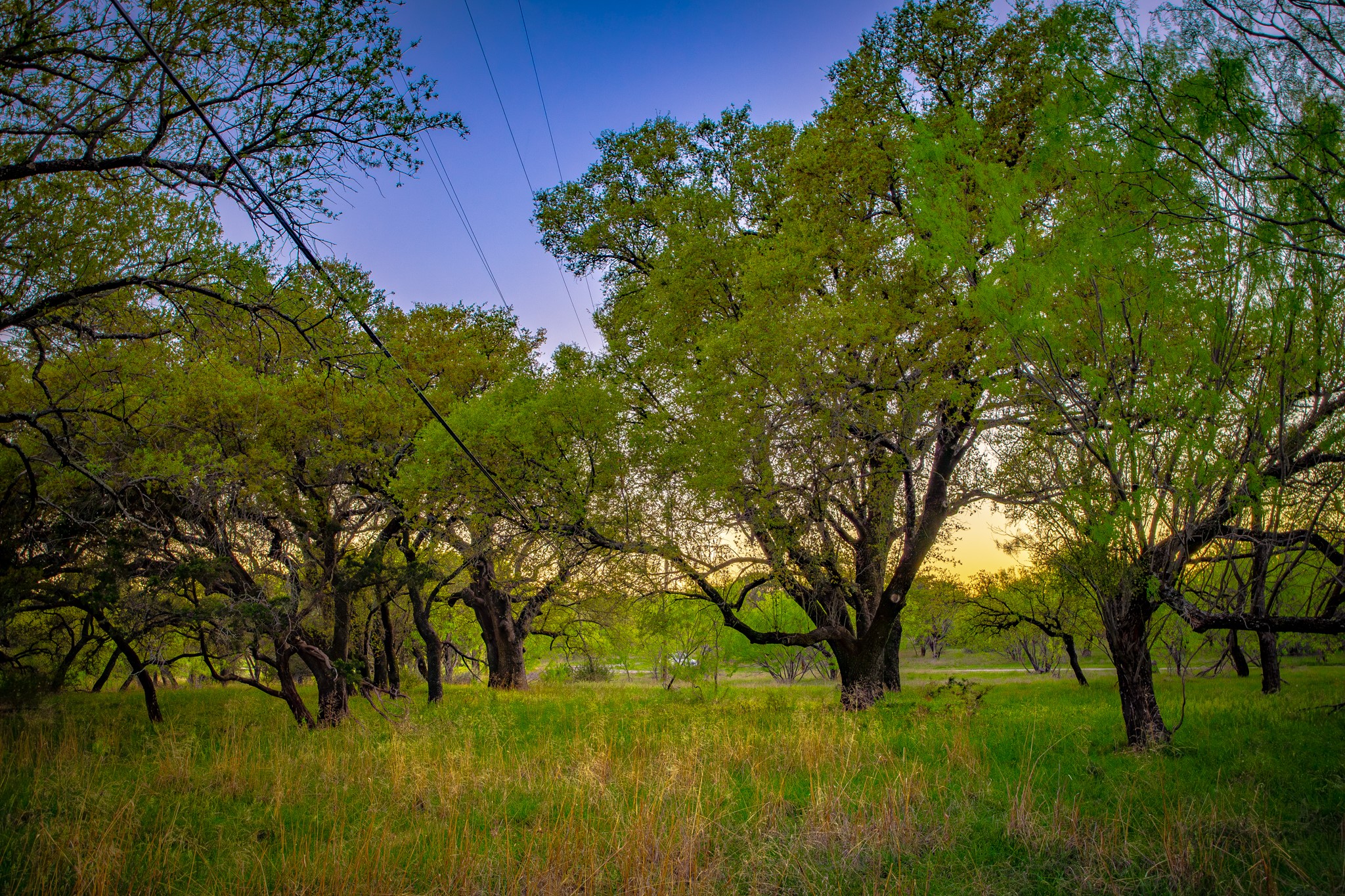 Lot 19 Firewheel Graford TX 76449