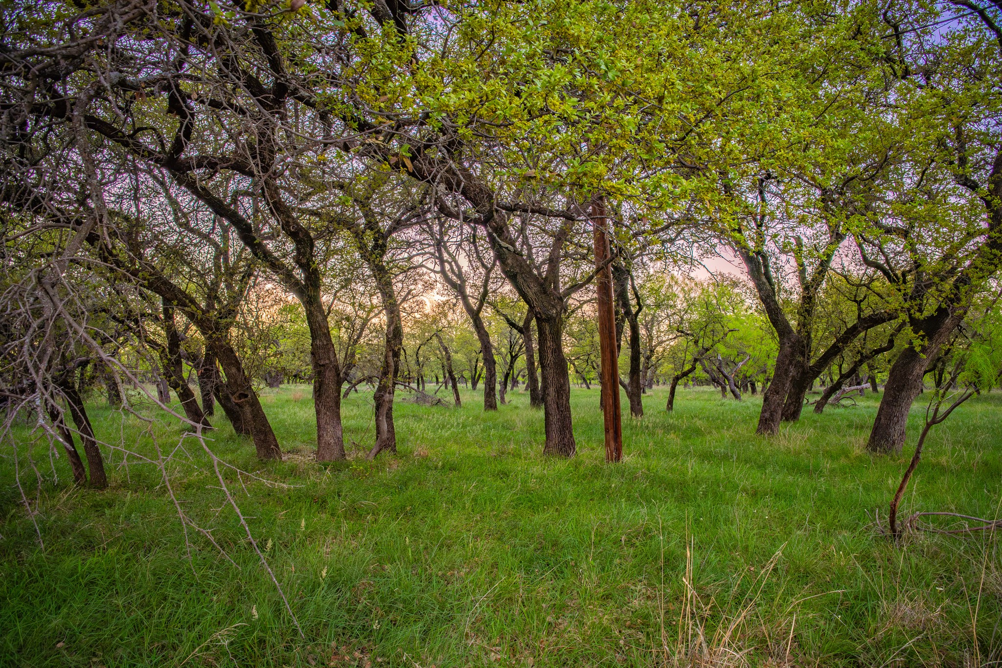 Lot 19 Firewheel Graford TX 76449