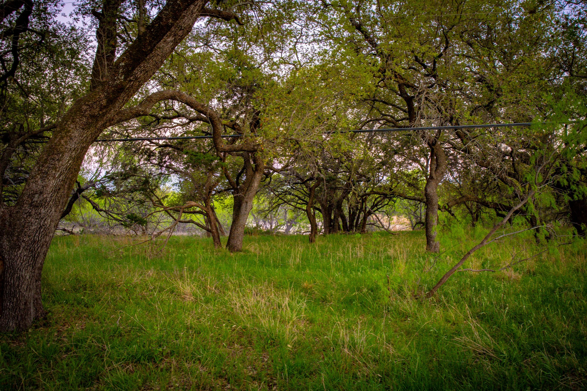 Lot 19 Firewheel Graford TX 76449