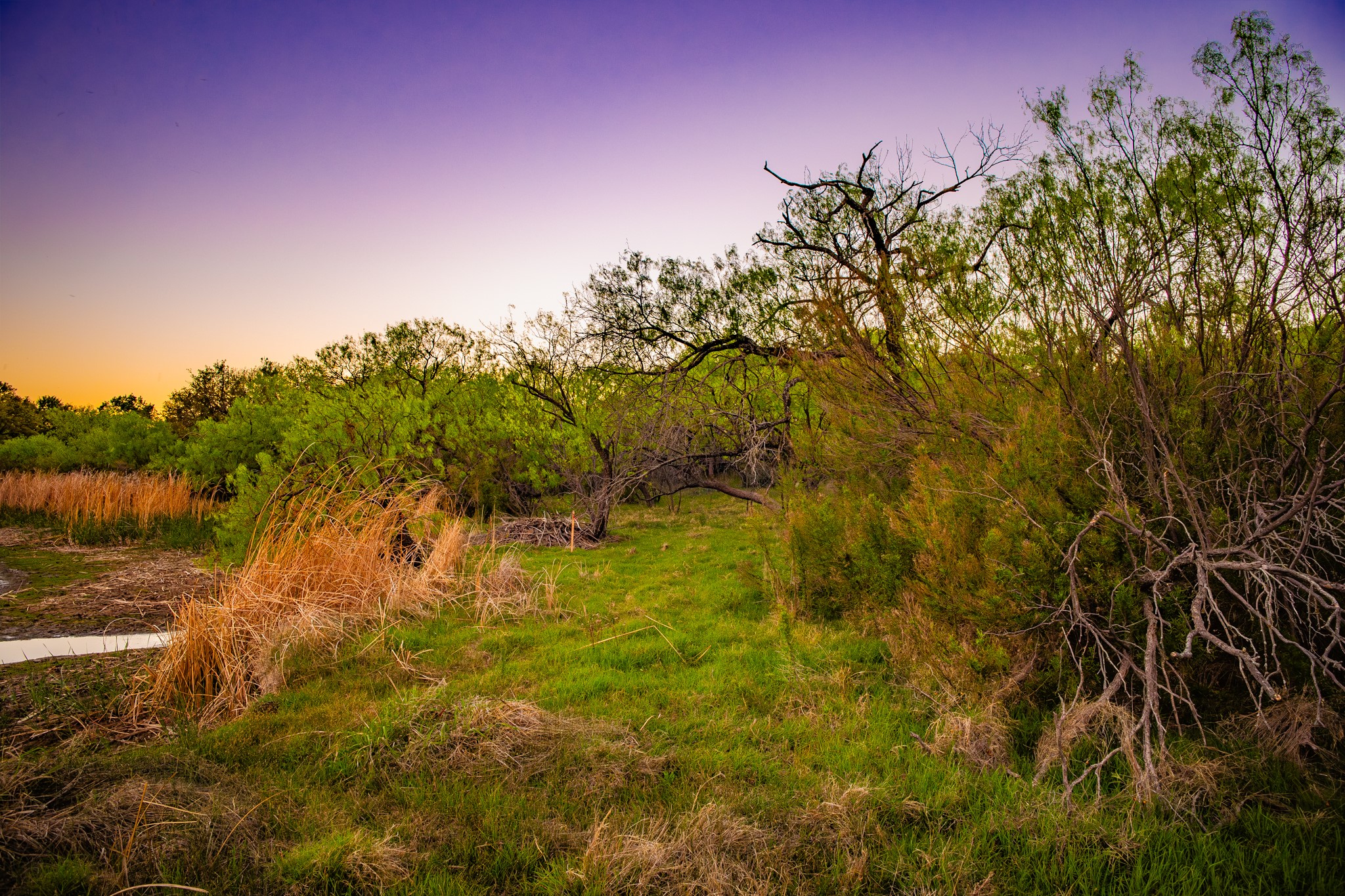 Lot 19 Firewheel Graford TX 76449