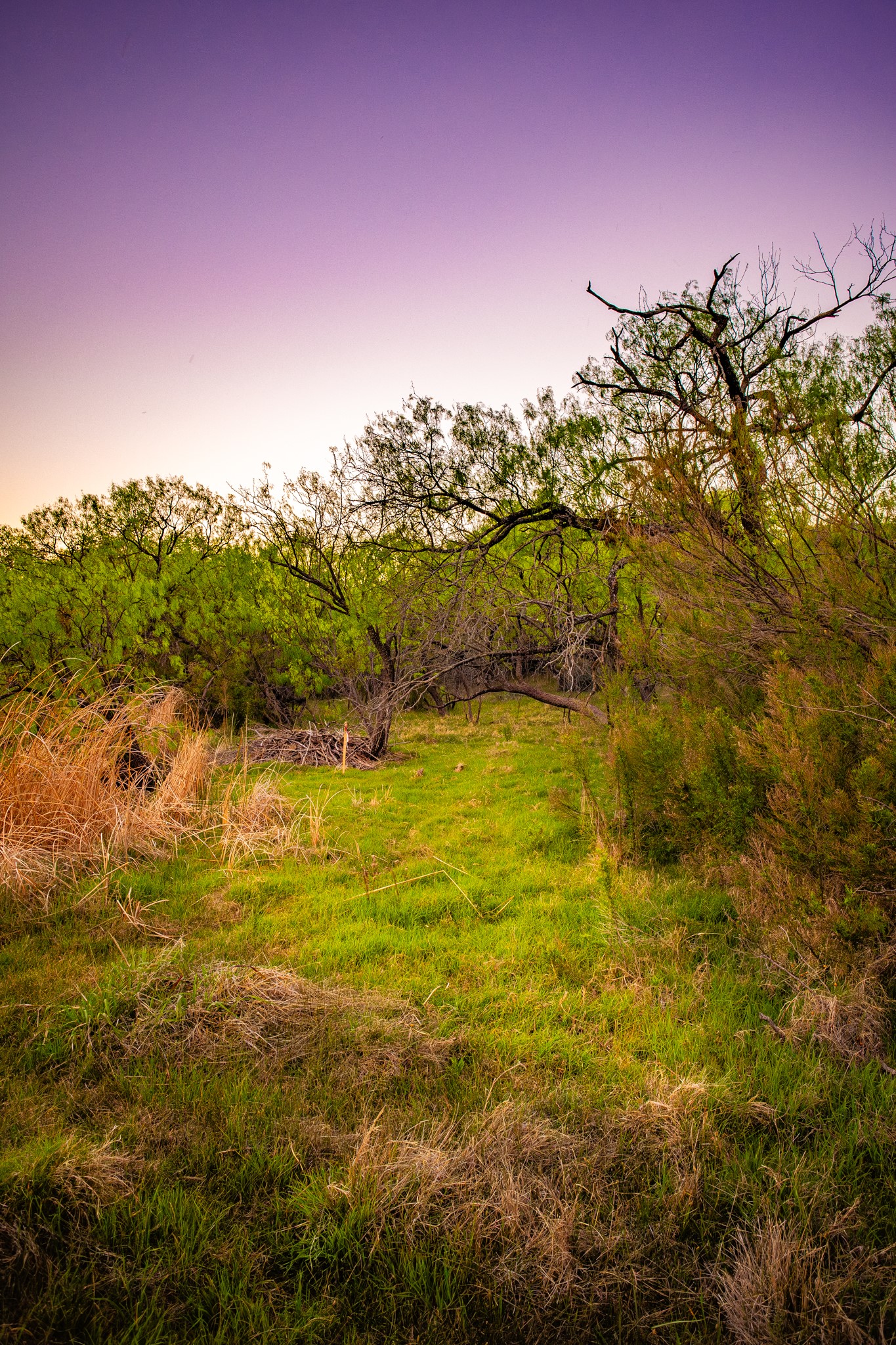 Lot 19 Firewheel Graford TX 76449