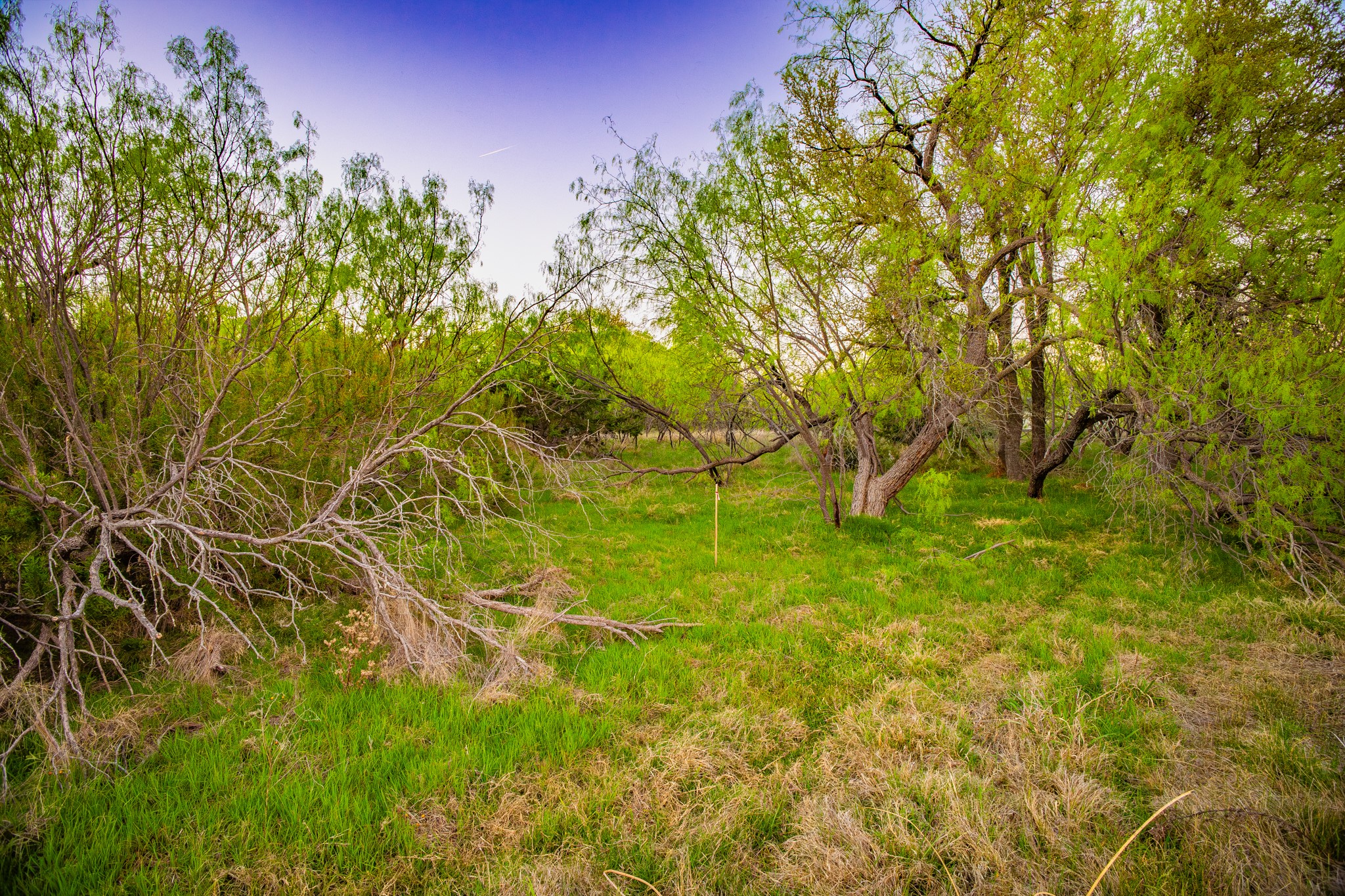 Lot 19 Firewheel Graford TX 76449