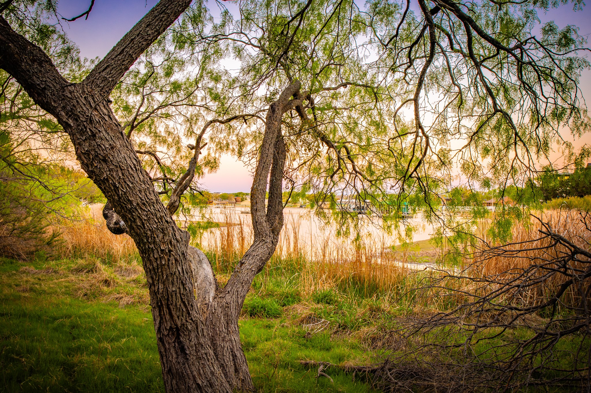 Lot 19 Firewheel Graford TX 76449