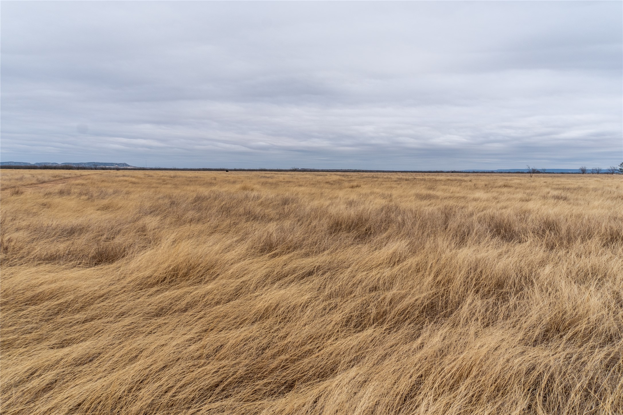 T3 County Road 204 Bradshaw TX 79567