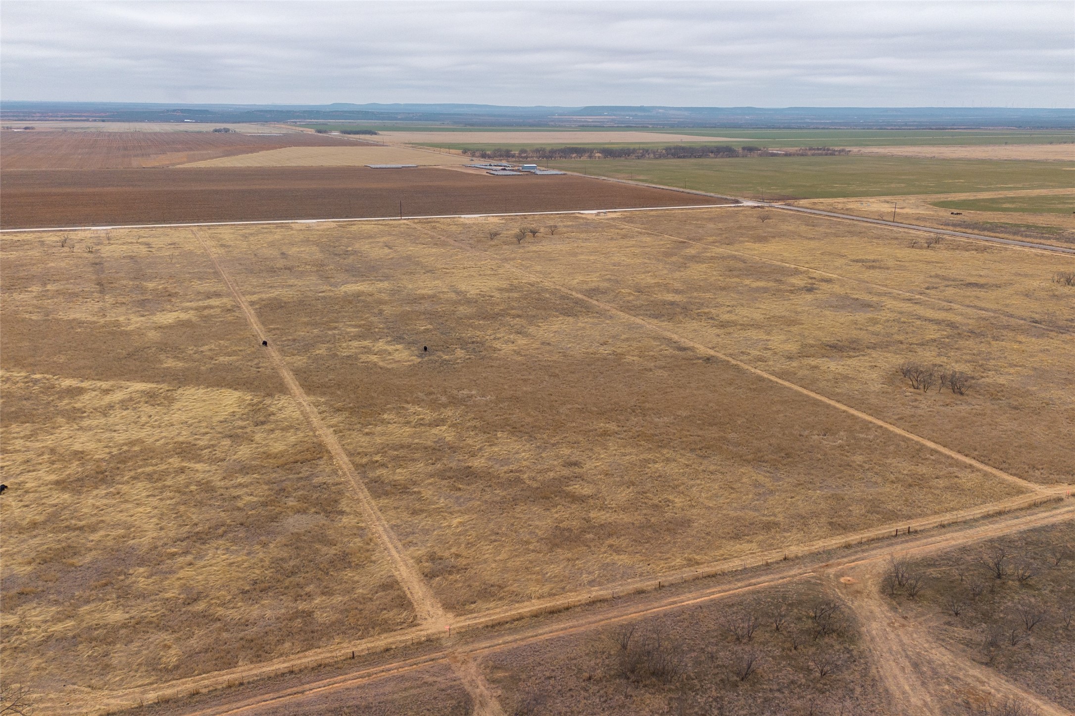 T3 County Road 204 Bradshaw TX 79567
