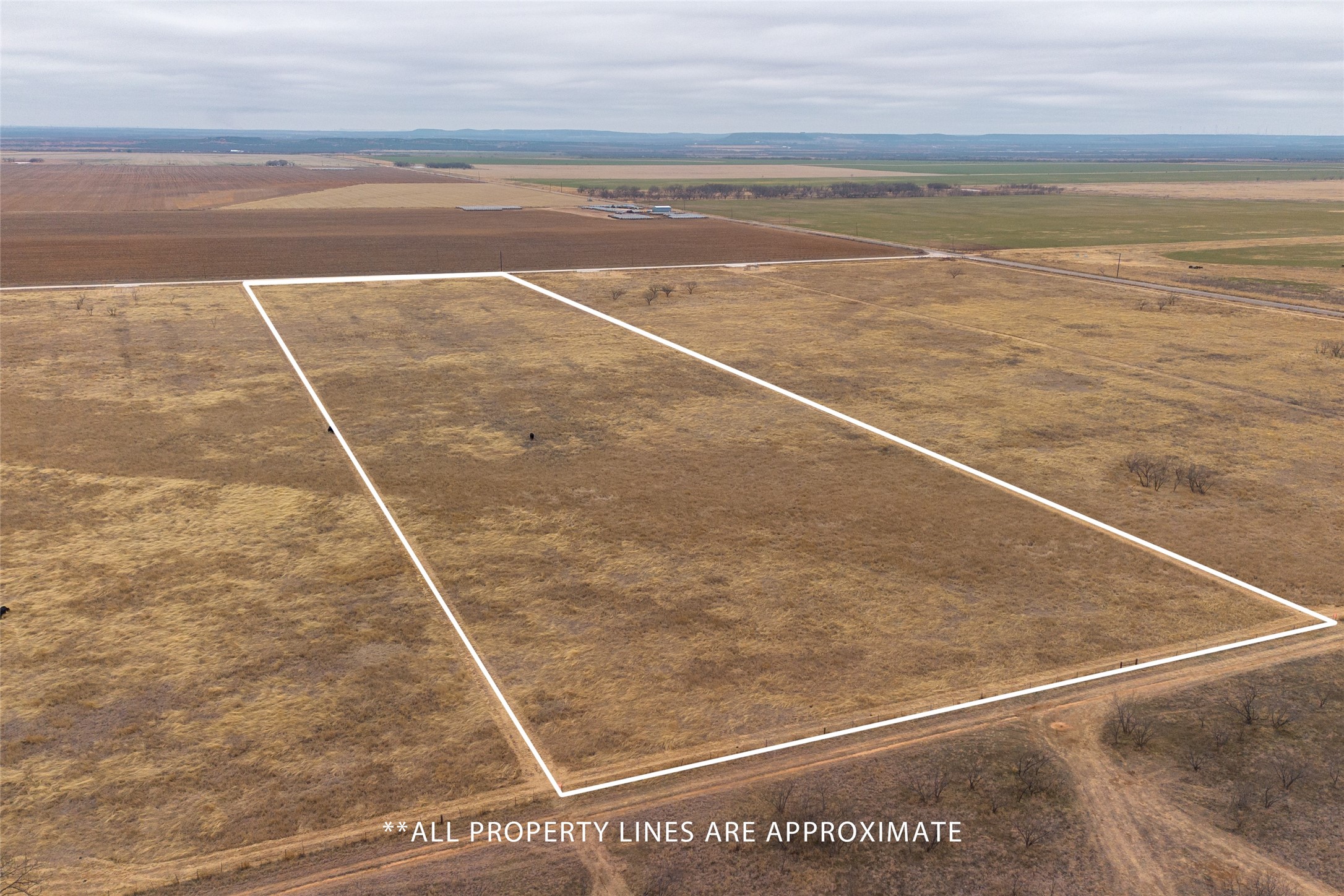 T3 County Road 204 Bradshaw TX 79567