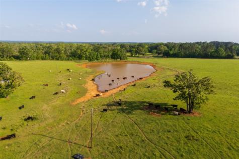 14803 Farm To Market Road 322 Elkhart TX 75839