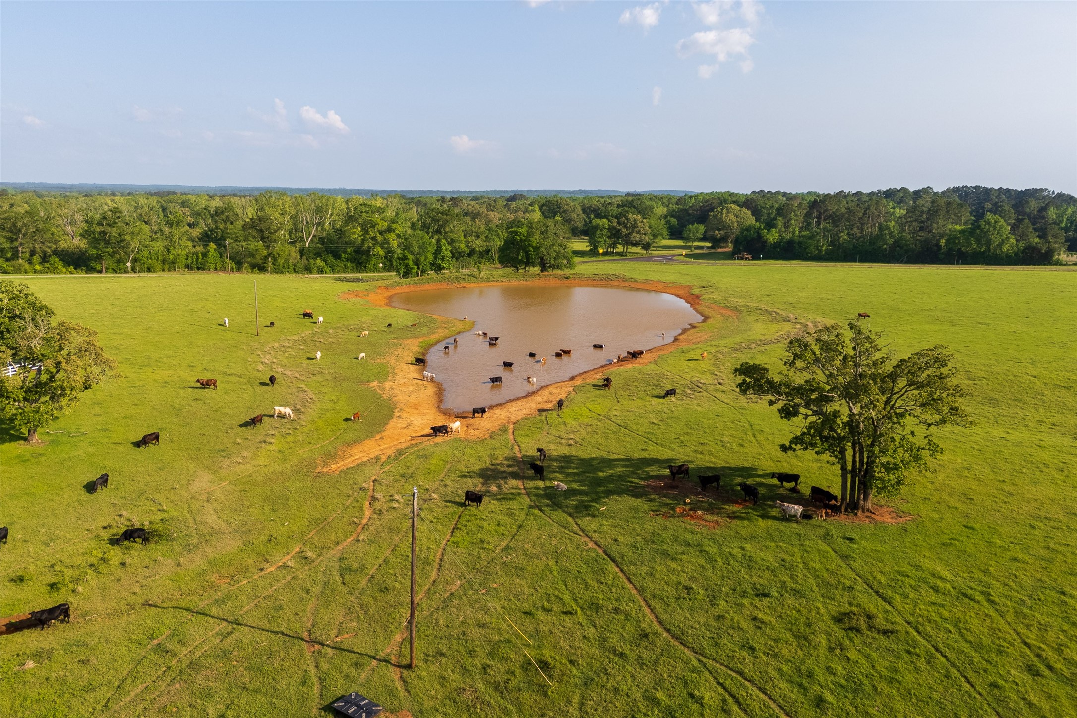 14803 Farm To Market Road 322 Elkhart TX 75839