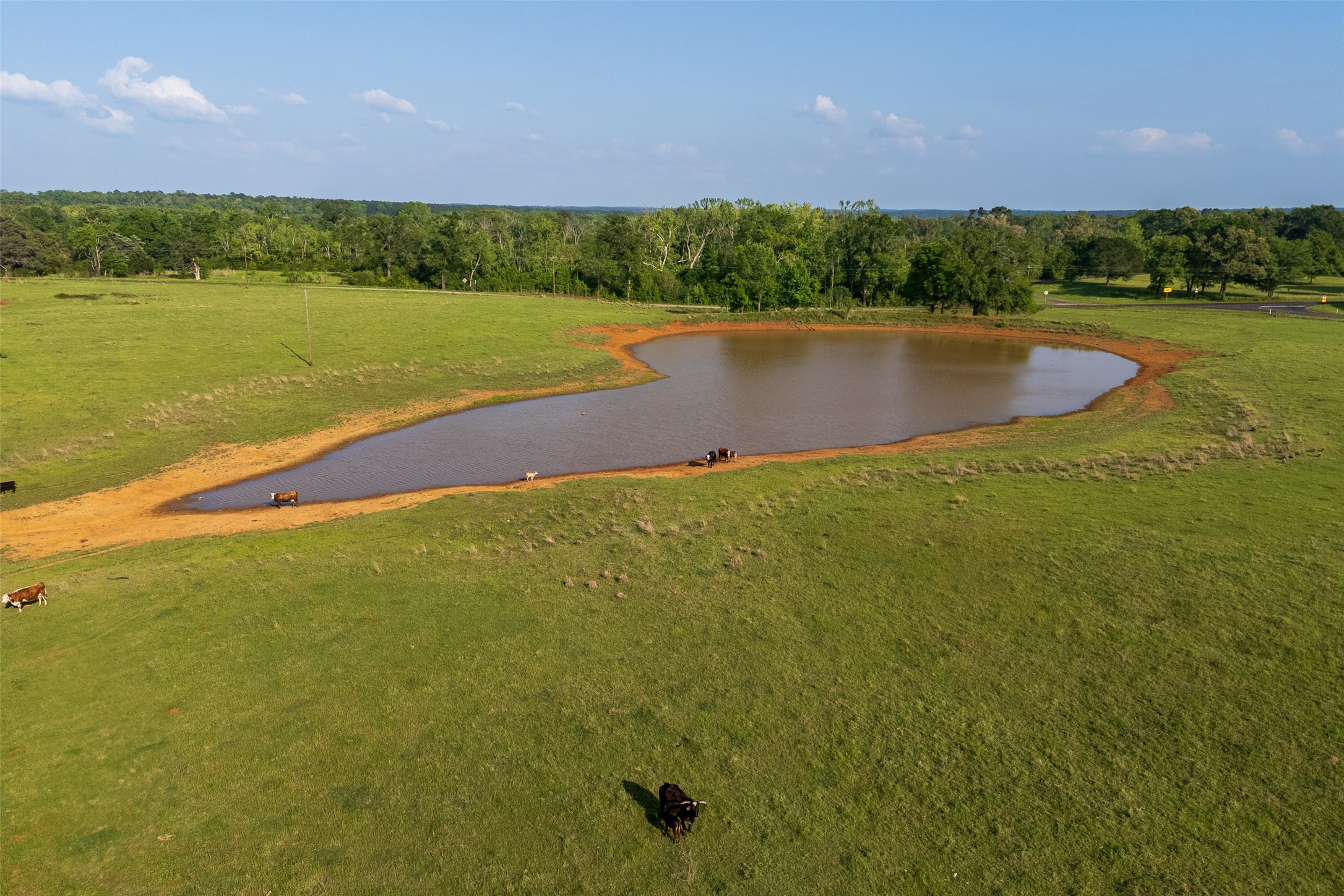 14803 Farm To Market Road 322 Elkhart TX 75839