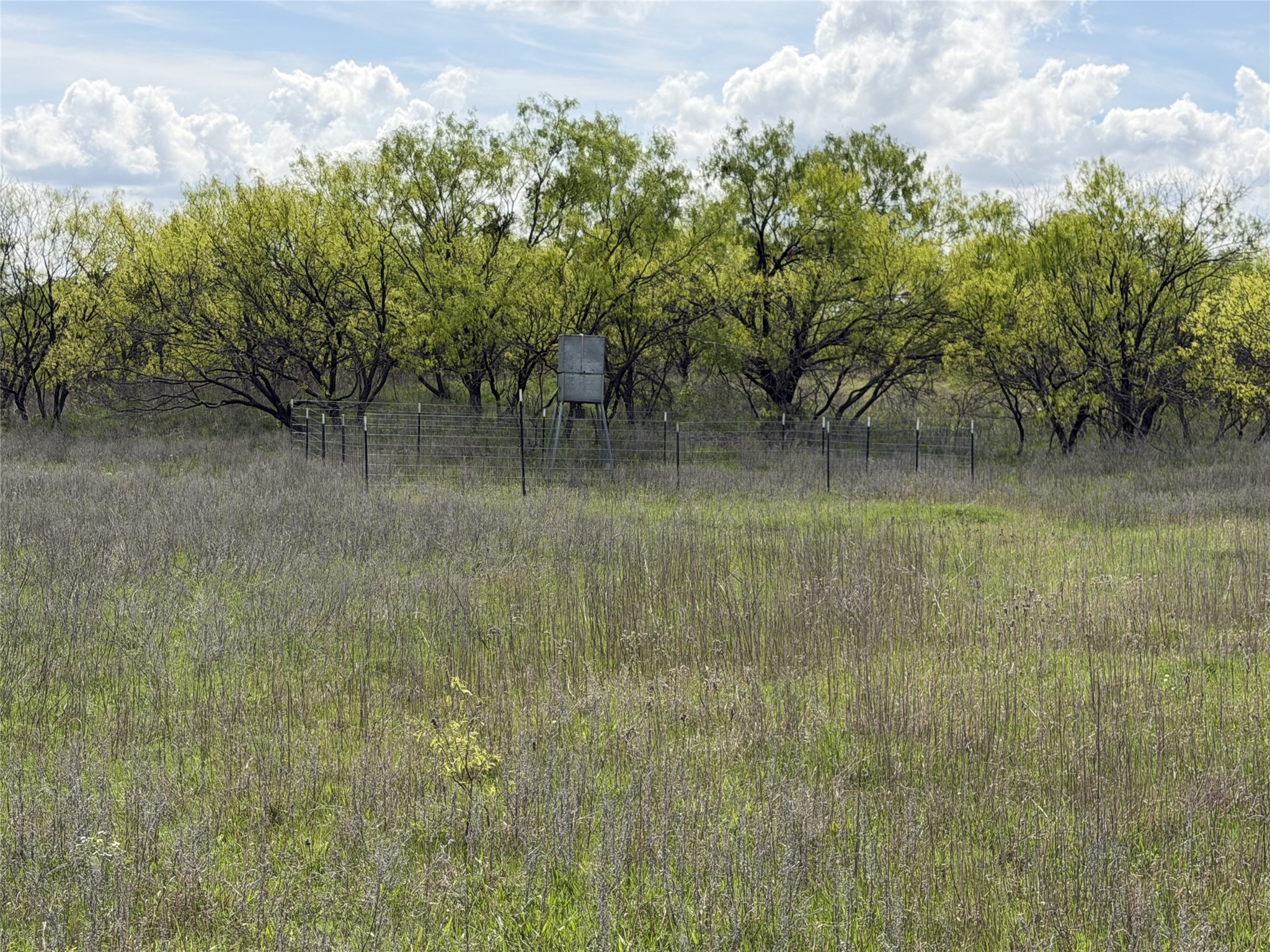 250 County Road 427 Rising Star TX 76471
