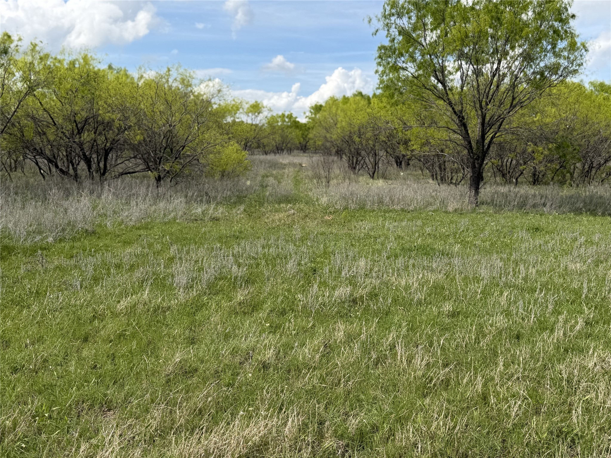 250 County Road 427 Rising Star TX 76471