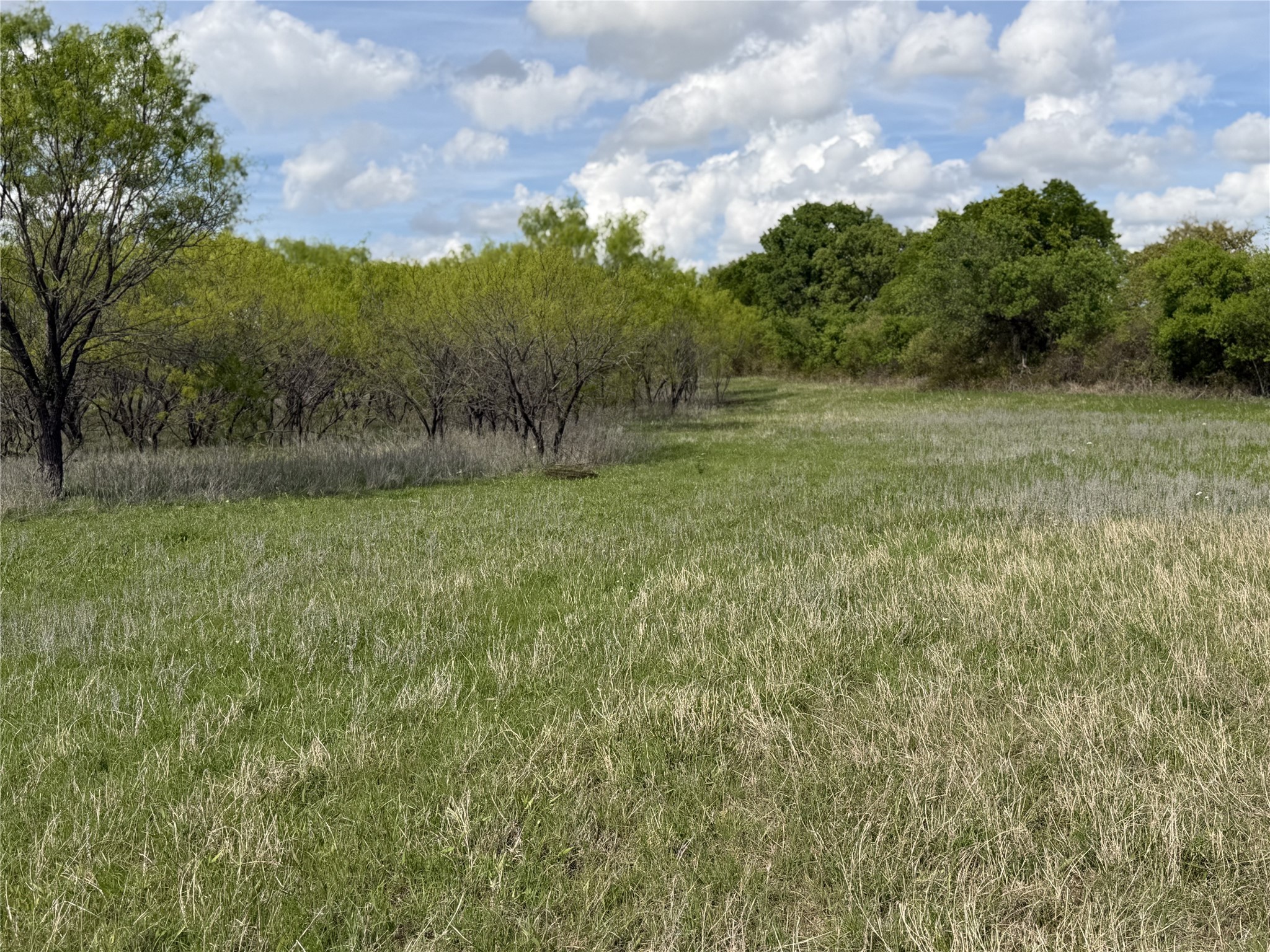 250 County Road 427 Rising Star TX 76471