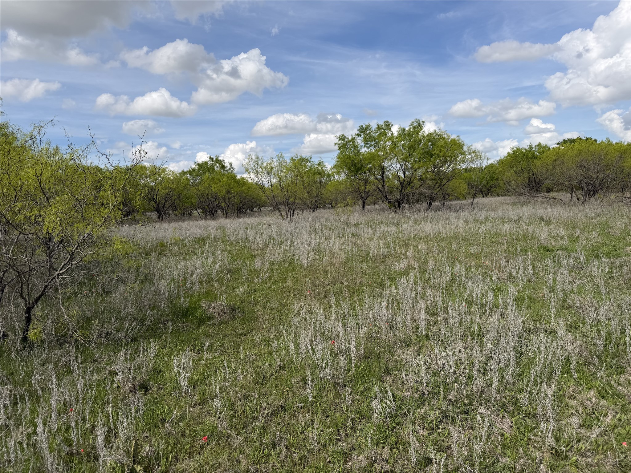 250 County Road 427 Rising Star TX 76471
