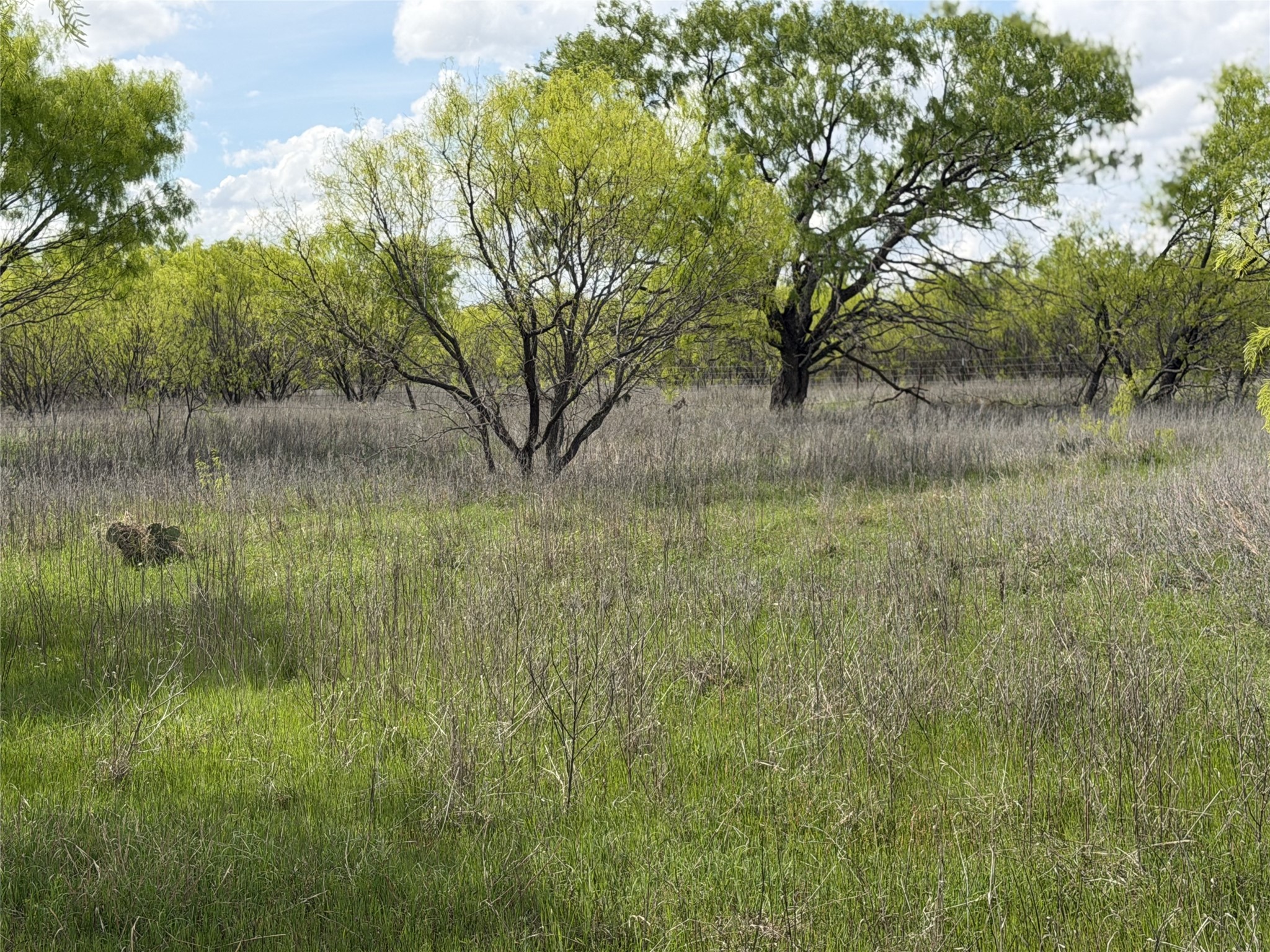 250 County Road 427 Rising Star TX 76471