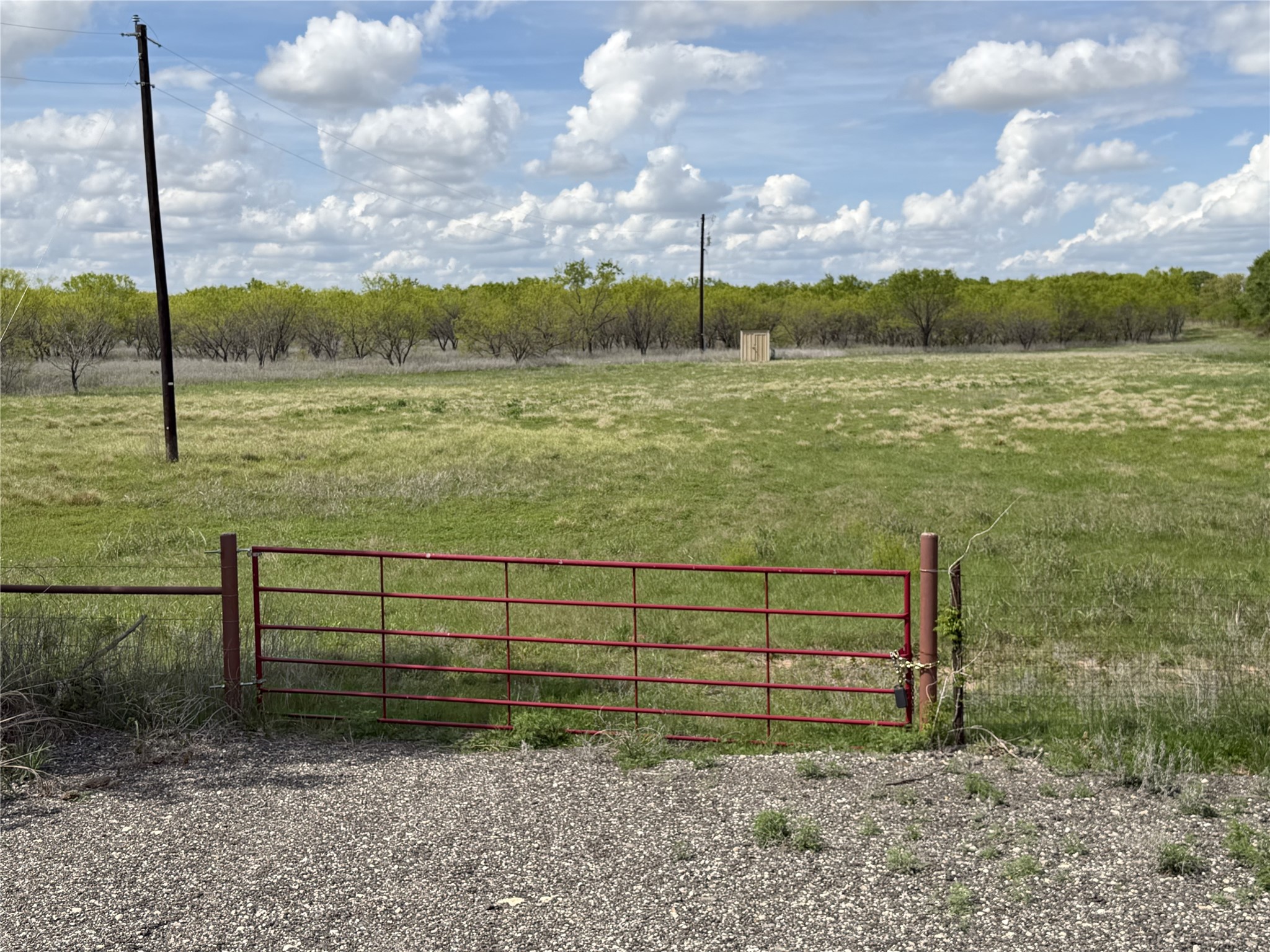 250 County Road 427 Rising Star TX 76471