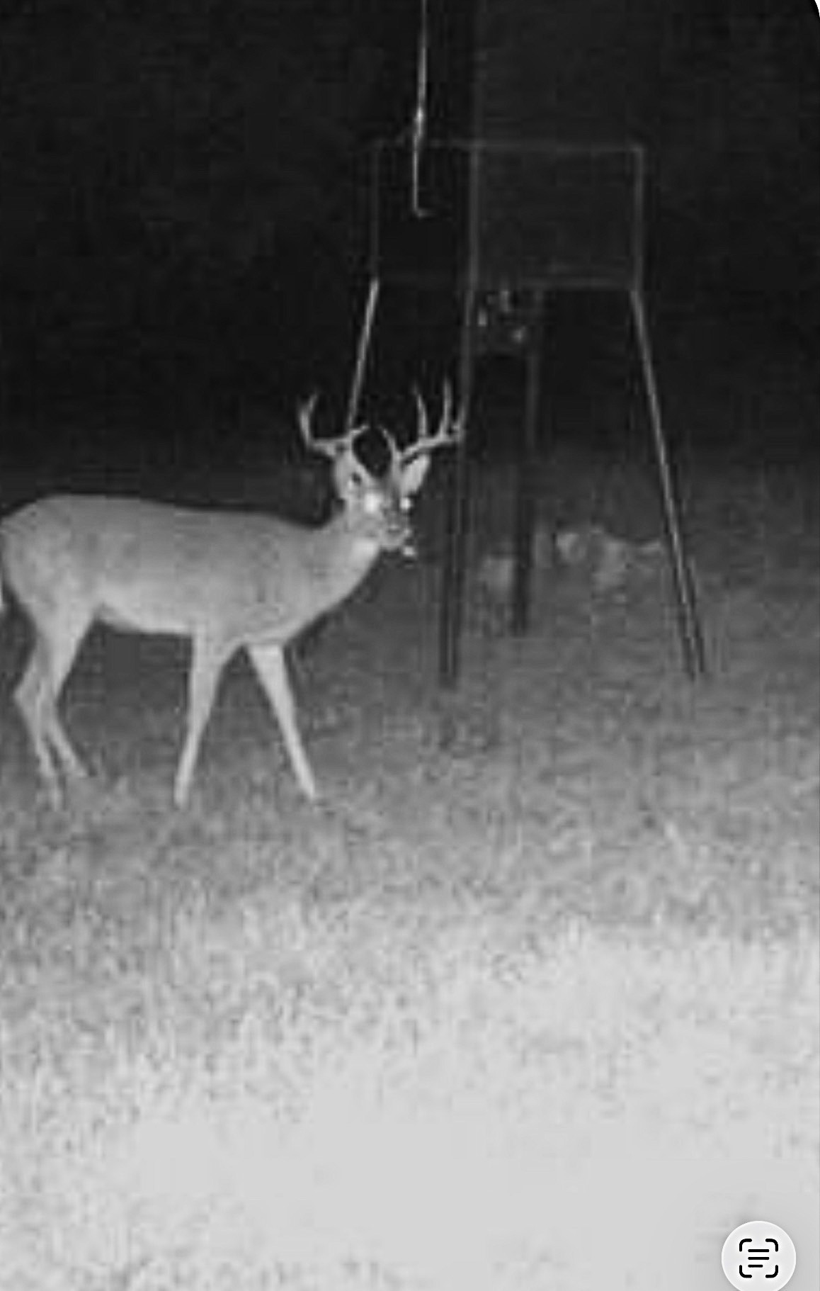250 County Road 427 Rising Star TX 76471