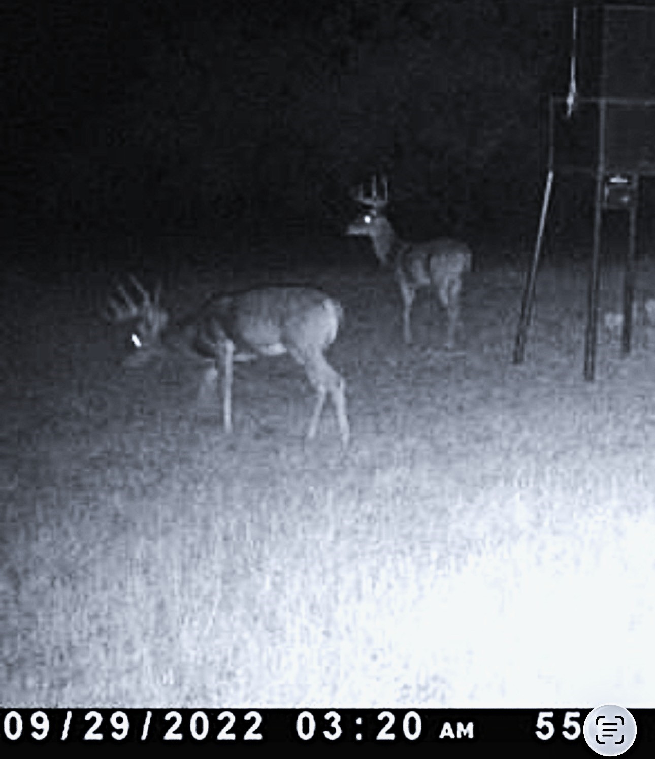 250 County Road 427 Rising Star TX 76471