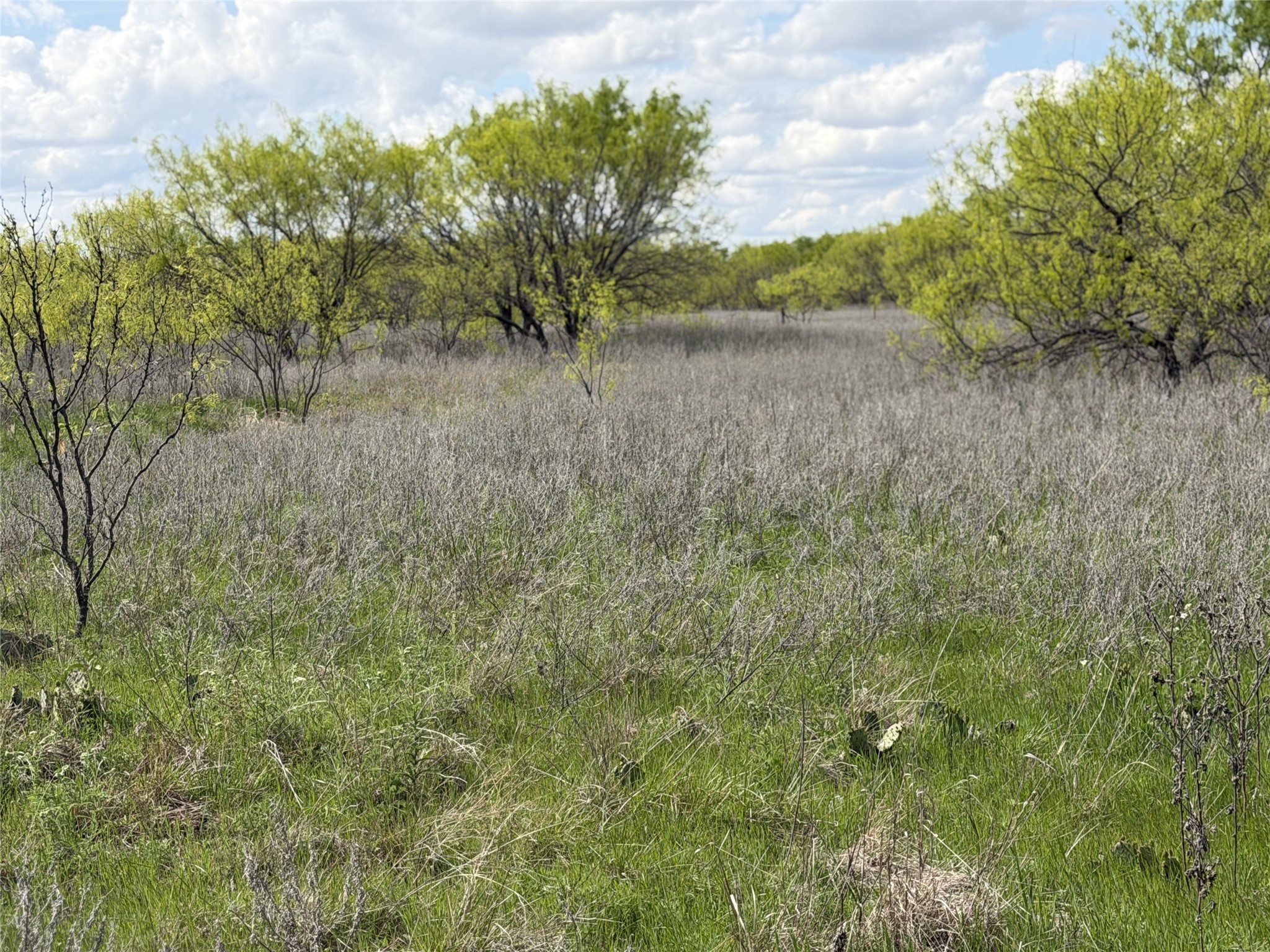 250 County Road 427 Rising Star TX 76471