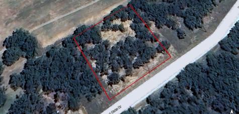 129 Diamond Oaks Drive Nocona TX 76255