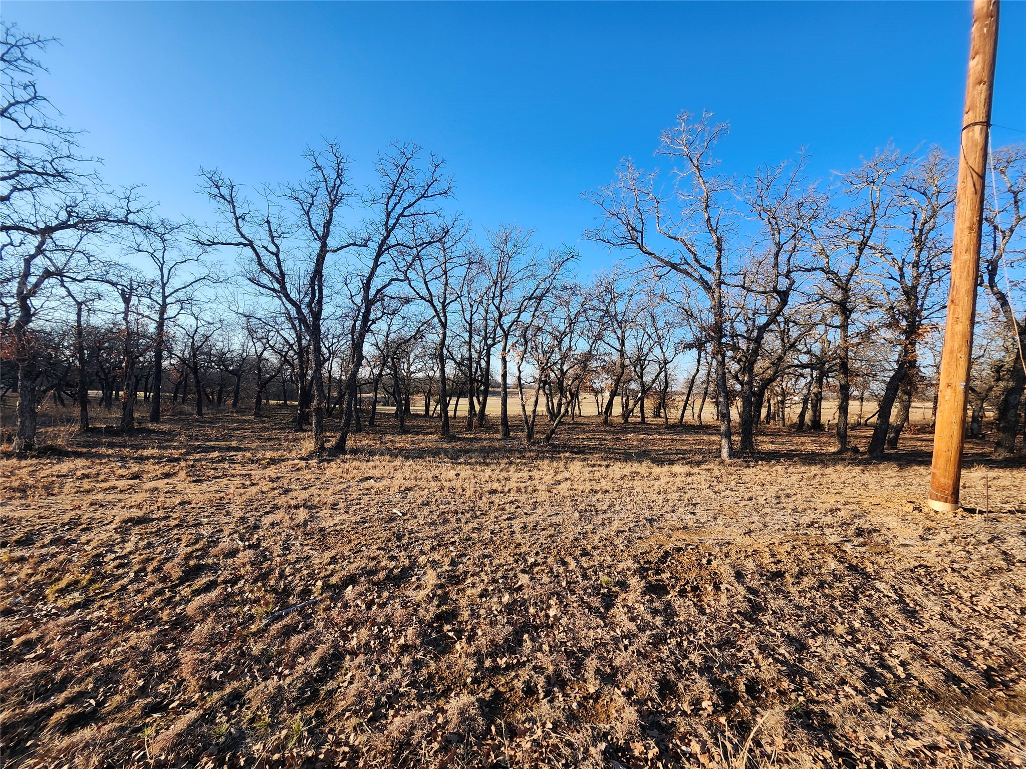 129 Diamond Oaks Drive Nocona TX 76255