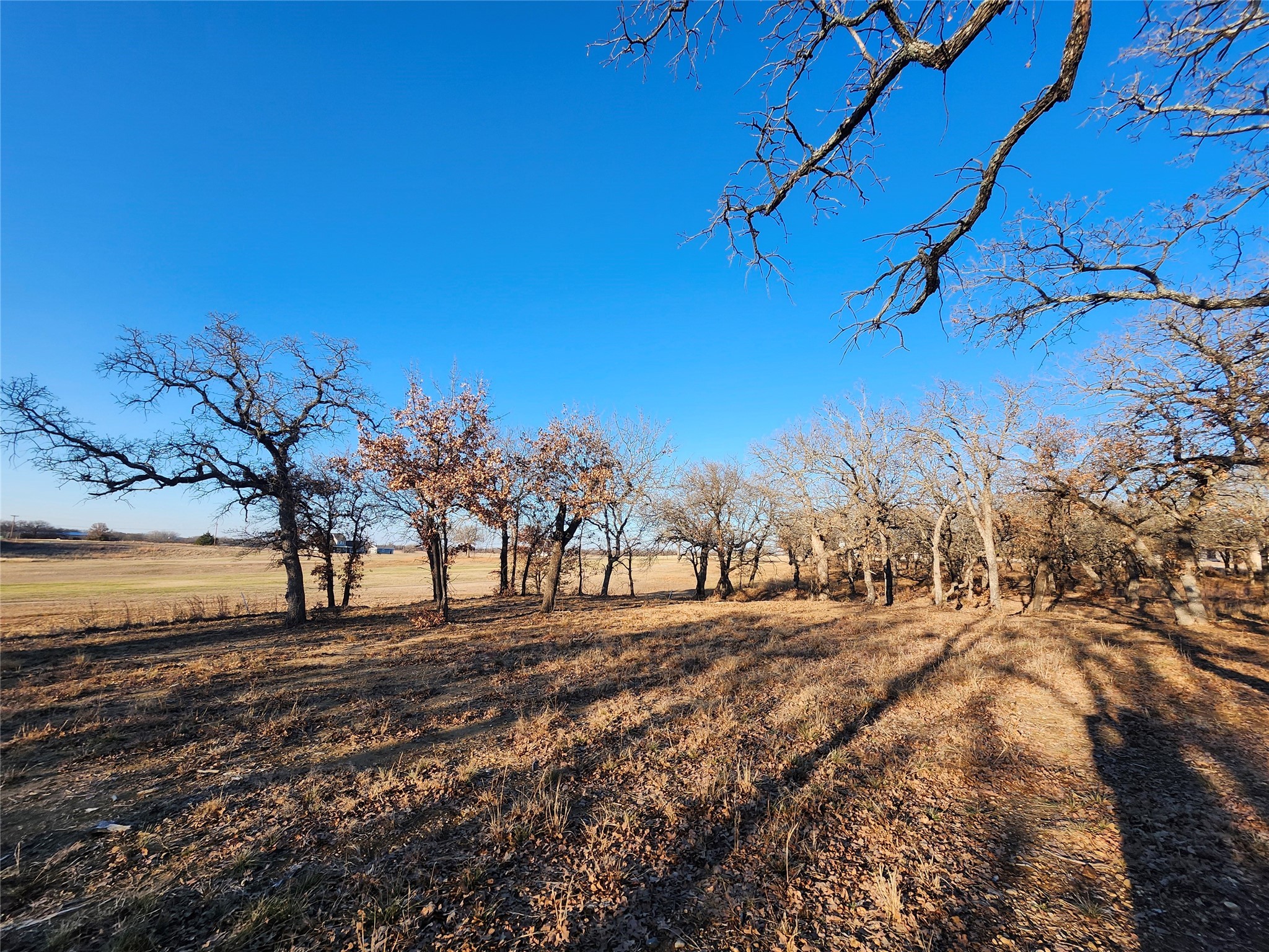 129 Diamond Oaks Drive Nocona TX 76255