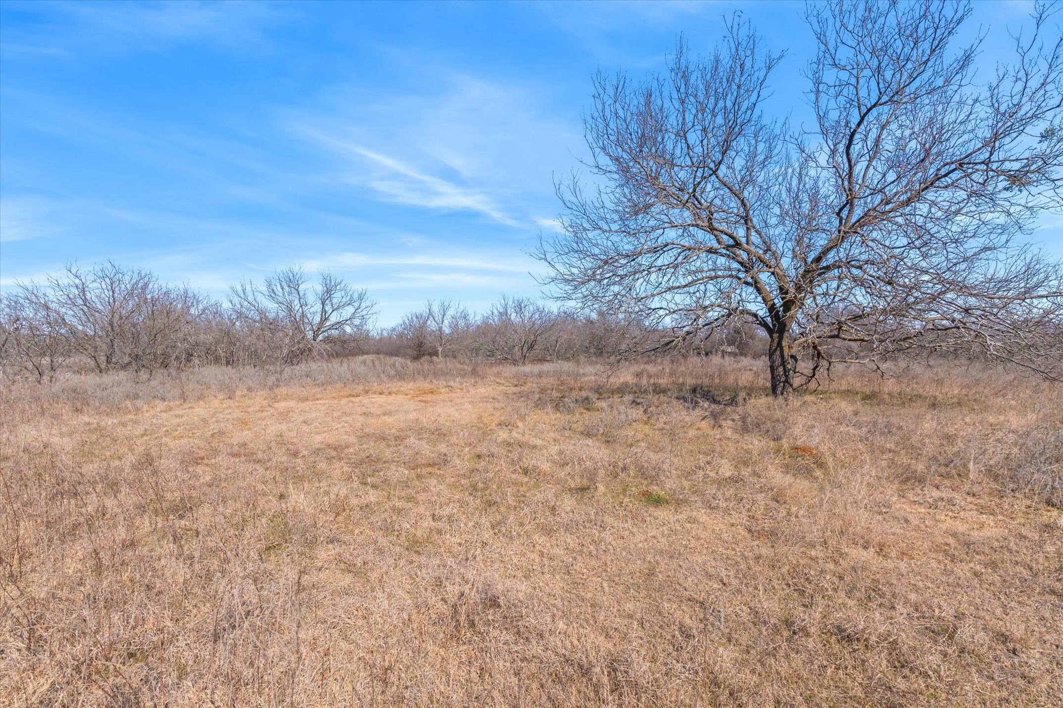 2281 State Highway 22 Highway Whitney TX 76692