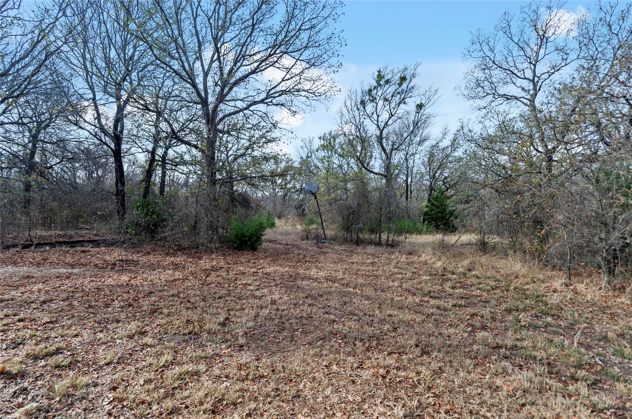 289 County Road 1661 Chico TX 76431