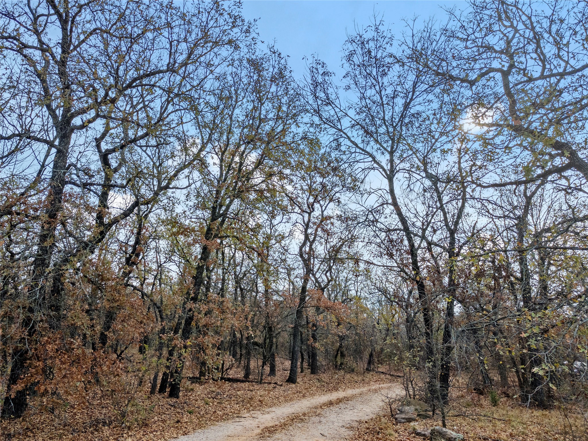 289 County Road 1661 Chico TX 76431