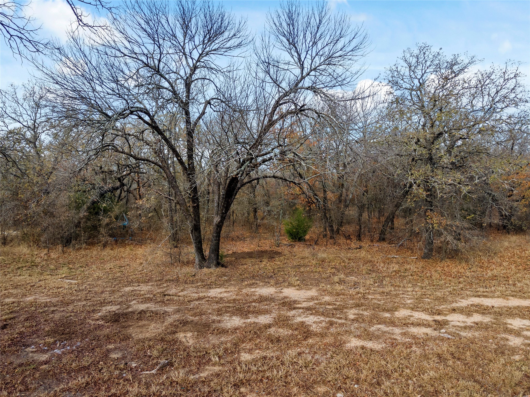 289 County Road 1661 Chico TX 76431