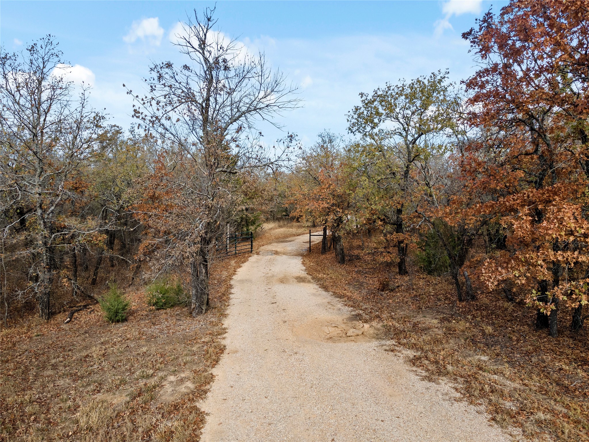 289 County Road 1661 Chico TX 76431