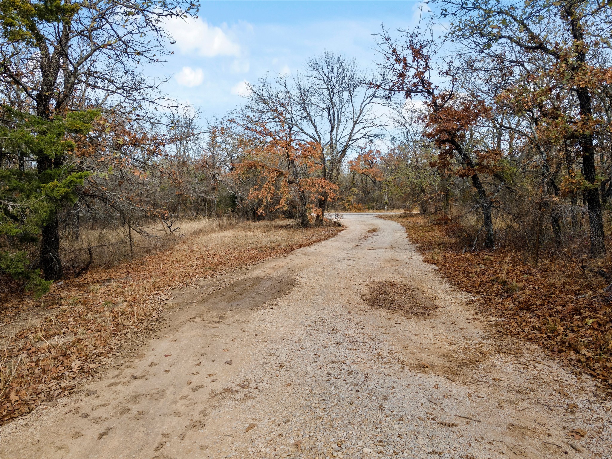 289 County Road 1661 Chico TX 76431
