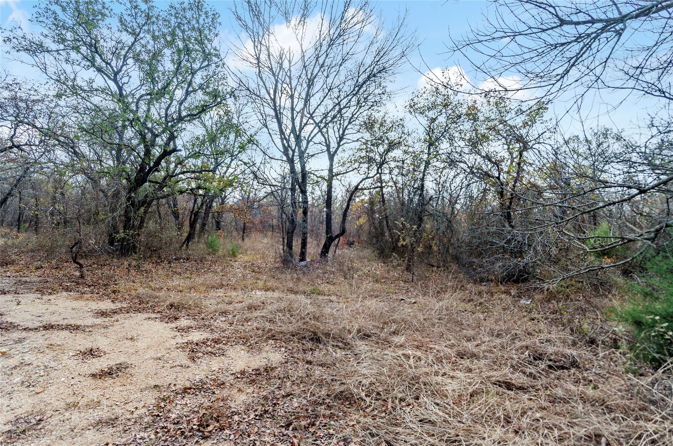 289 County Road 1661 Chico TX 76431