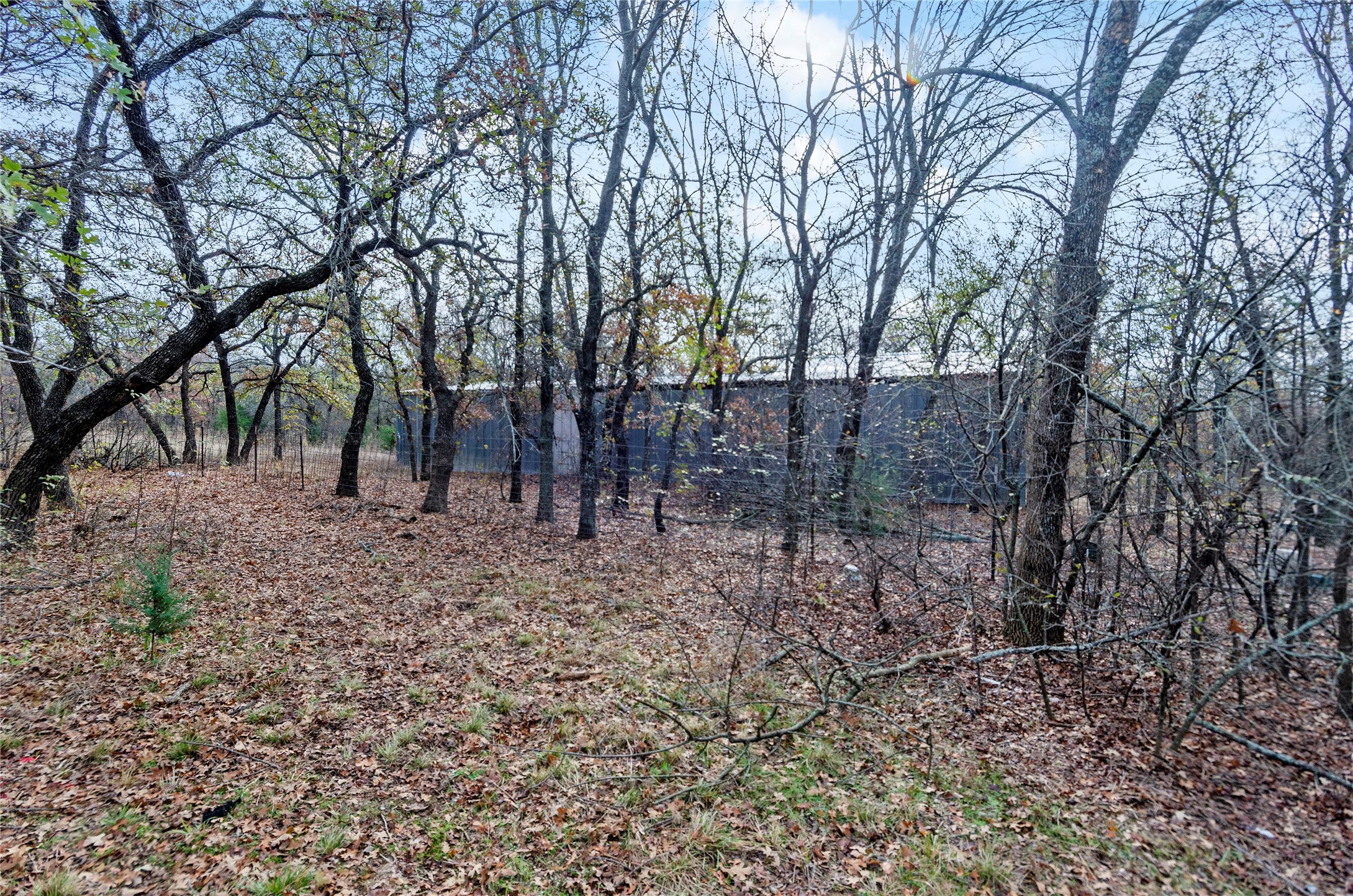 289 County Road 1661 Chico TX 76431