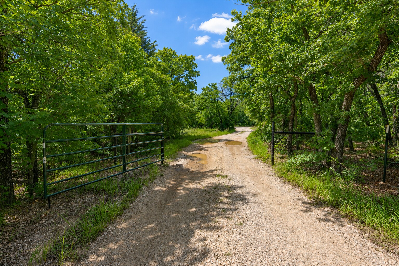 289 County Road 1661 Chico TX 76431