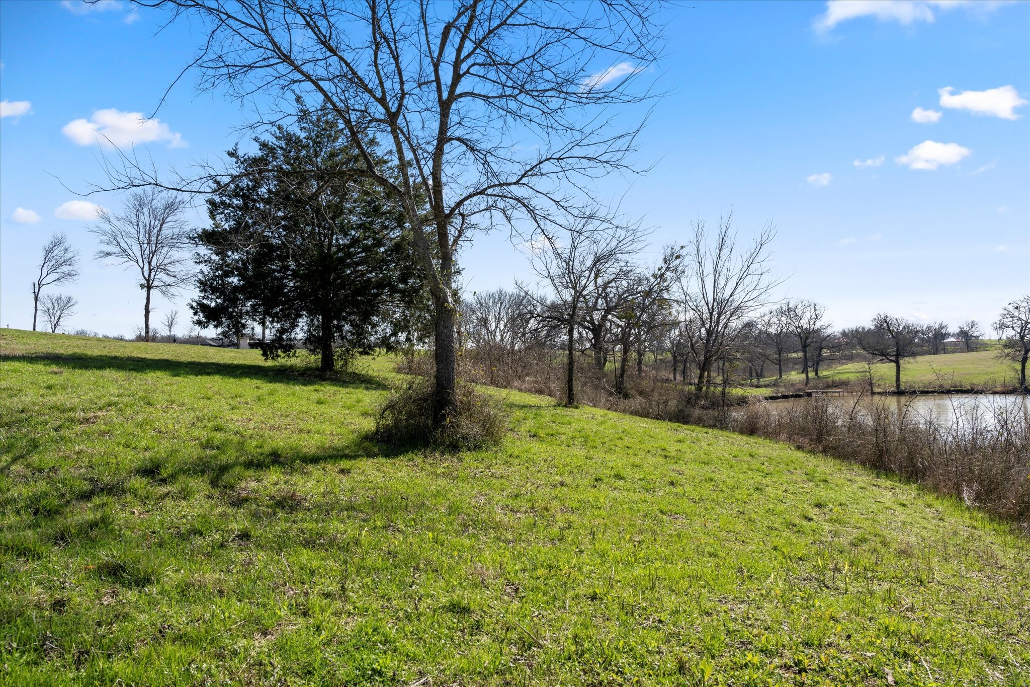Lot 31 Old Peninsula Trail Corsicana TX 75109