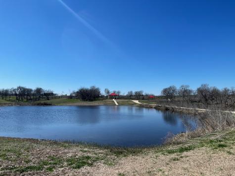 Lot 31 Old Peninsula Trail Corsicana TX 75109