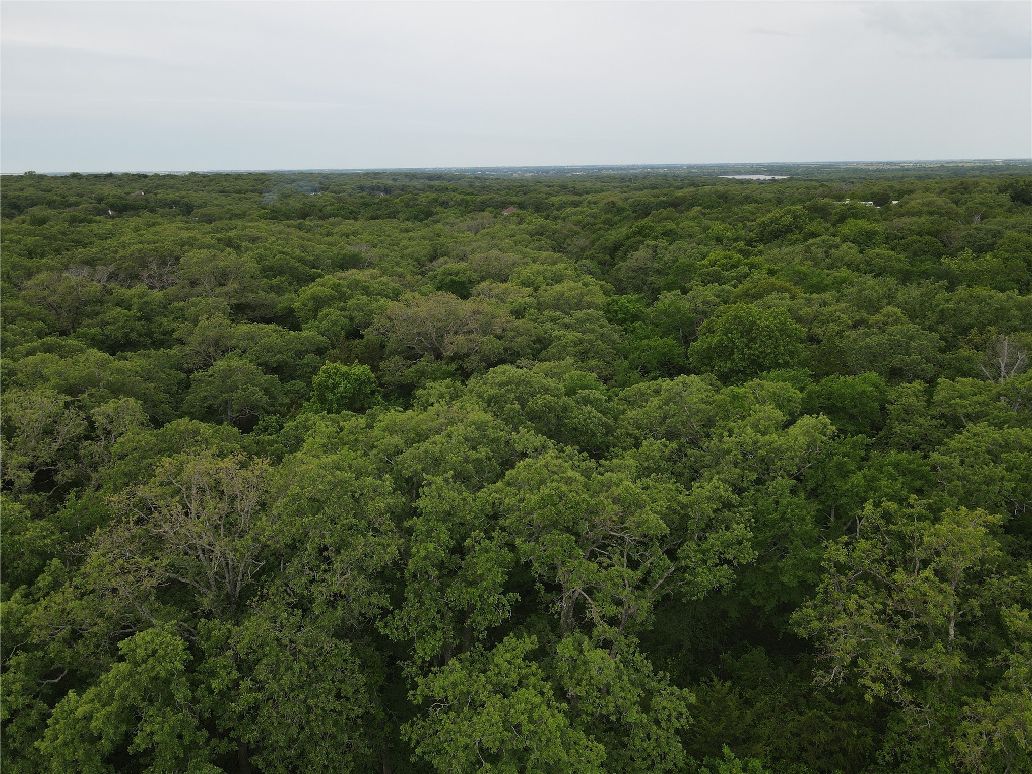 Lot 92 County Road 2255 Valley View TX 76272