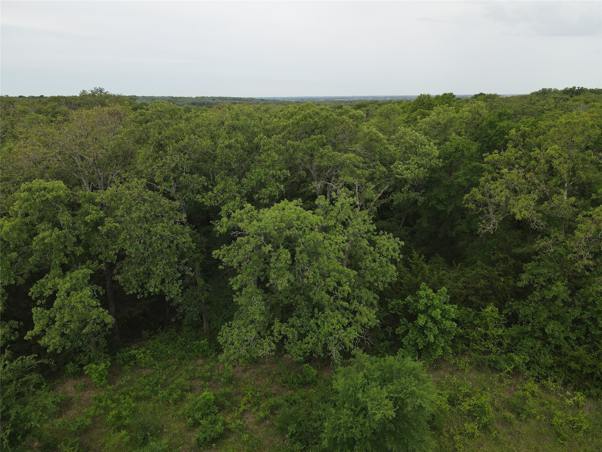 Lot 92 County Road 2255 Valley View TX 76272