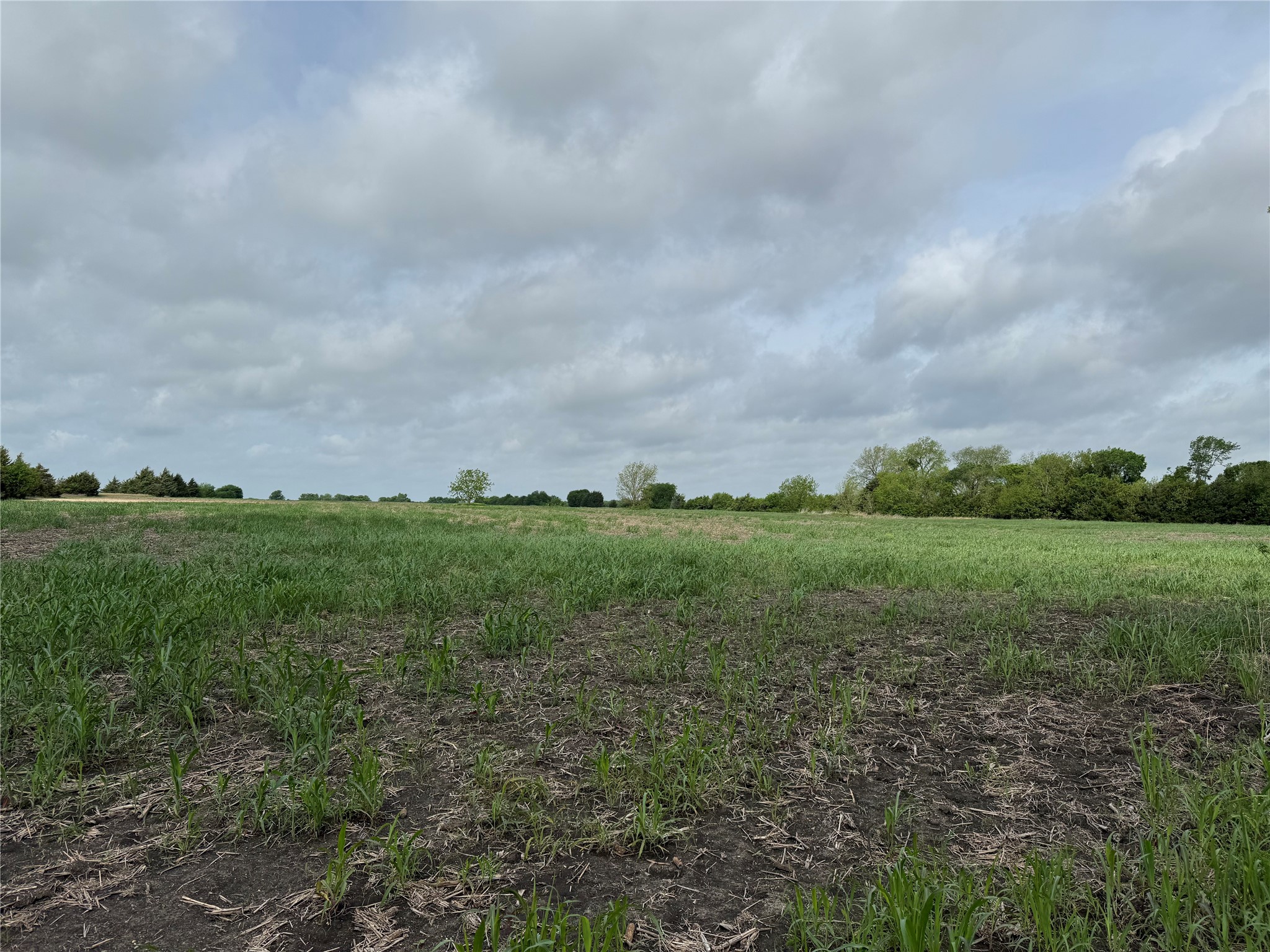 Tbd Cr 23300 Roxton TX 75477