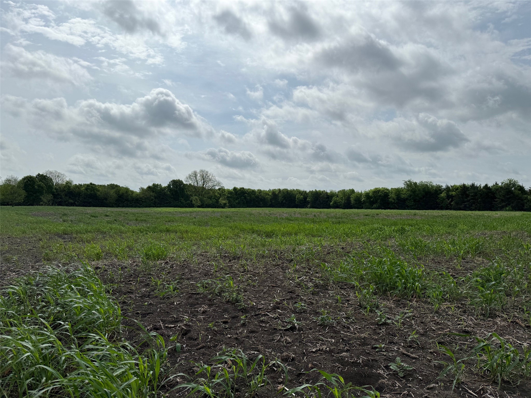 Tbd Cr 23300 Roxton TX 75477