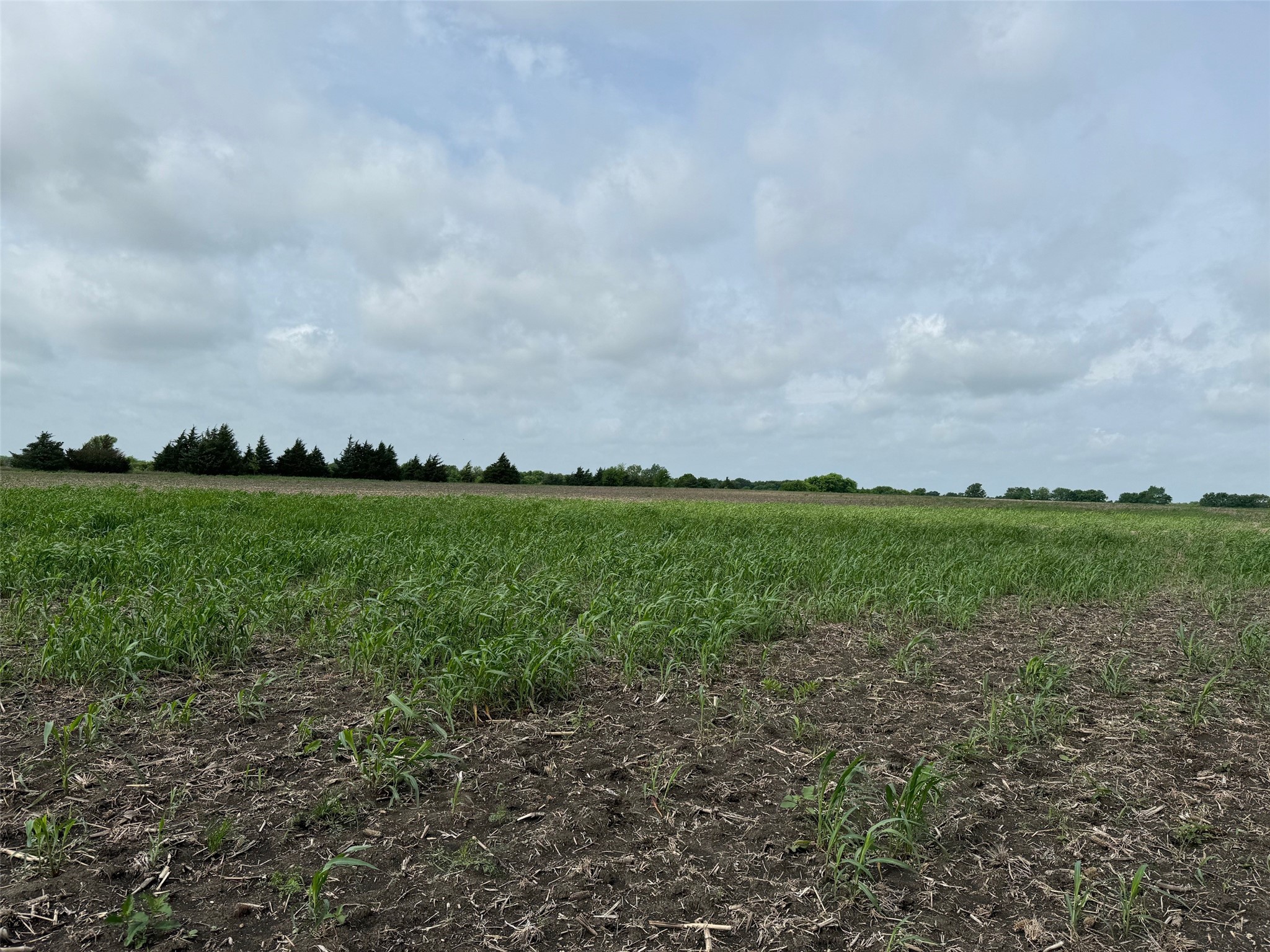 Tbd Cr 23300 Roxton TX 75477
